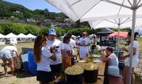 Los grupos y la pela de las patatas.. R.A.