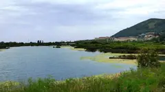 Marismas de Santoña. R.A.