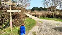 Camino en el municipio de Arnuero. R.A.