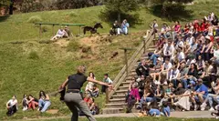 Parque de la Naturaleza de Cab&aacute;rceno.