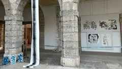 Exposici&oacute;n en el Parlamento.