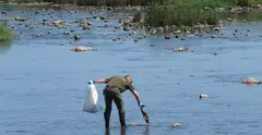 Recogida de aves muertas en la r&iacute;a San Mart&iacute;n.