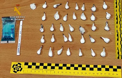 Droga incautada por la Guardia Civil en Sar&oacute;n.