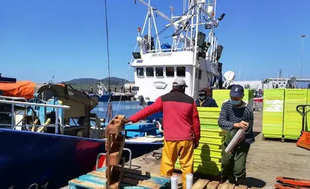 Pescadores en el puerto de Santoña. R.A.