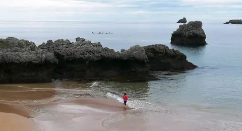 El PP considera que la ministra Teresa Ribera es una calamidad para Cantabria. R.A.