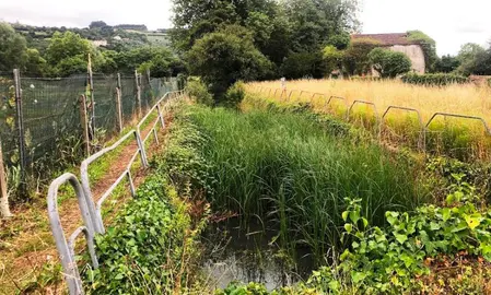 Cauces con vegetación en Laredo.