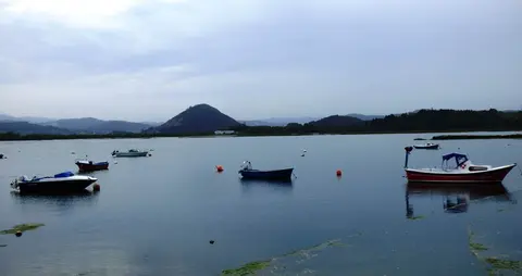 Marismas de Santoña. R.A.