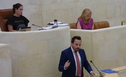 El diputado regional del PP, &Aacute;lvaro Aguirre. R.A.