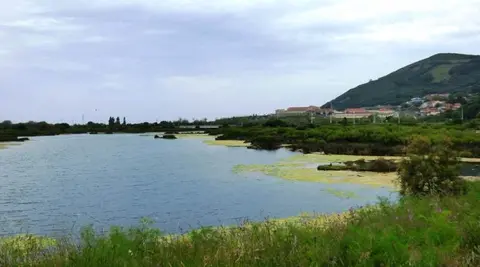 Marismas de Santoña. R.A.