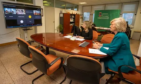 La consejera Marina Lombó en la videoconferencia sectorial.