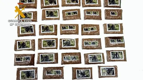 Hach&iacute;s requisado al hombre en la estaci&oacute;n de tren de Reinosa.