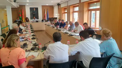 pleno 7 julio 2023 (2)