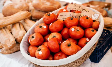 Diferentes tipos de tomate serán protagonistas en Bezana.