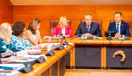 El consejero de Economía, Hacienda y Fondos Europeos, Luis Ángel Agüeros, comparece en el Parlamento para presentar los proyectos de su departamento durante esta legislatura.
