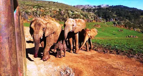 Parque de la Naturaleza de Cabárceno.