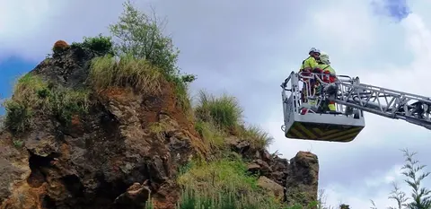 Rescate del oso joven en Cab&aacute;rceno.