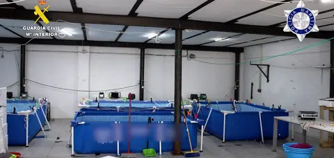 Operaci&oacute;n 'Olissipo'.