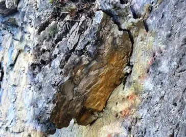 El Ayuntamiento ha tomado esta medida para garantizar la seguridad.