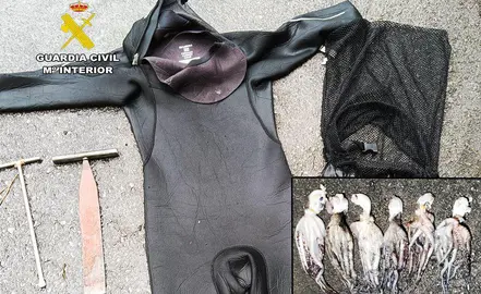 Pesca intervenida por la Guardia Civil.