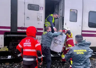 Tren de Alvia averiado.