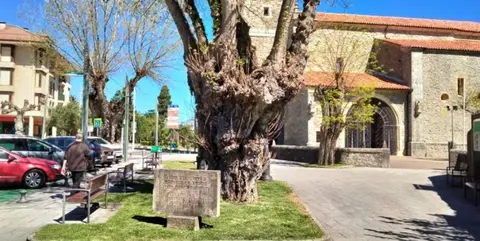 Municipio de Noja. R.A.