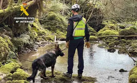Búsqueda de la persona desaparecida.
