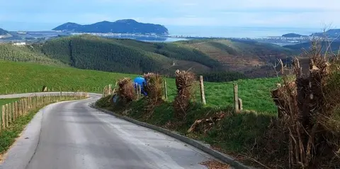 Zona de Vidular en Bárcena Cicero.