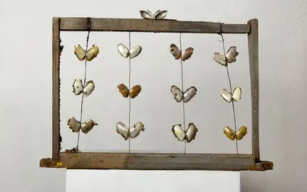 Ábaco de mariposas.