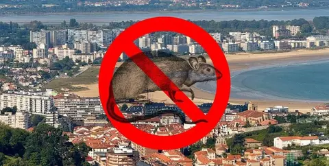 Municipio de Laredo.