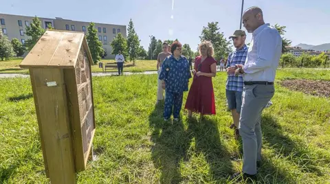 Las autoridades políticas visitan las actuaciones.
