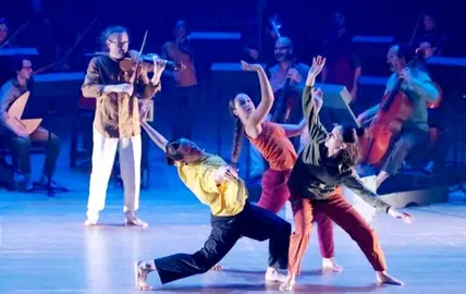 Programación del FIS.