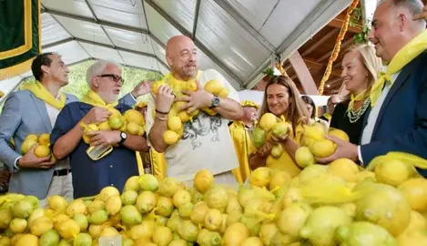 Acto de Los Limones Solidarios.
