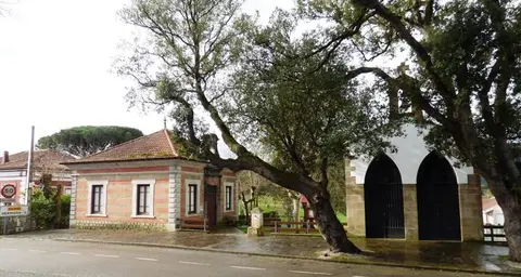 Localidad de Valdecilla, en Medio Cudeyo. R.A.