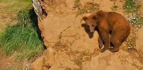 Parque de Cabárceno, dependiente de Cantur.