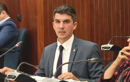 El portavoz del PSOE, Daniel Fernández.