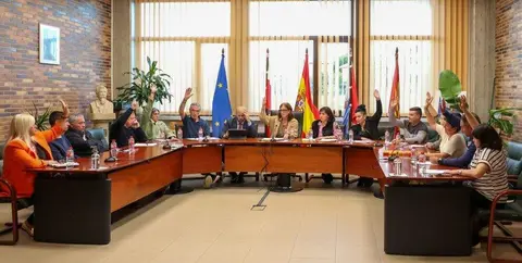 Pleno municipal en Polanco.