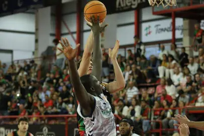 El Grupo Alega Cantabria.