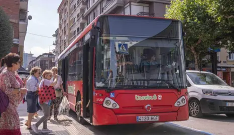 Servicio de Torrebús.