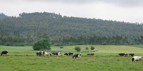El documento dispone de una zona