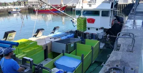 Puerto pesquero de Santo&ntilde;a. R.A.