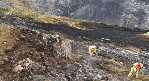 Bomberos forestales en el monte.