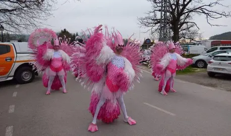 'Grupo 'Fusi&oacute;n flamenca'. R.A.