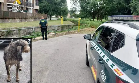 La Guardia Civil rescat&oacute; al perro en La Penilla.
