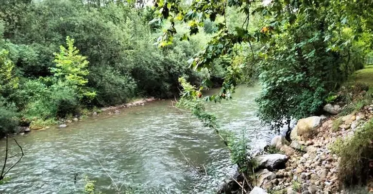 Municipio de Ruesga. R.A.