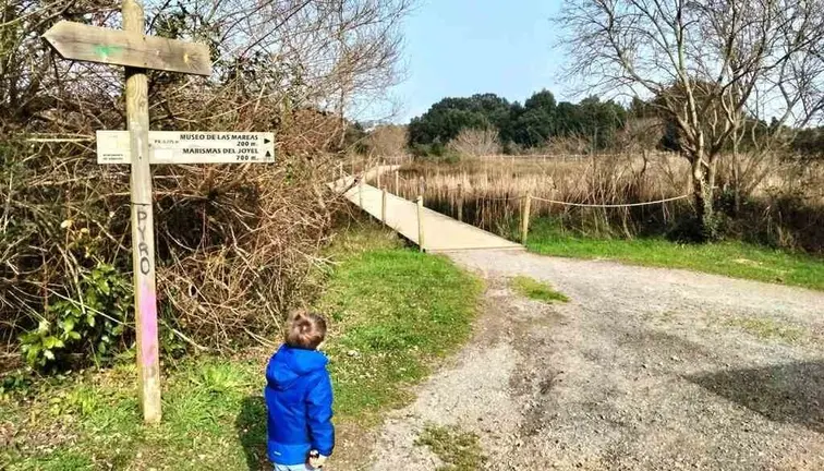 Camino en el municipio de Arnuero. R.A.