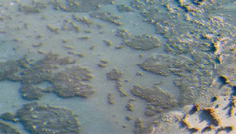 Obra titulada 'Posibilidad de aliento'.