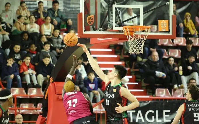 Encuentro del Grupo Alega Cantabria.