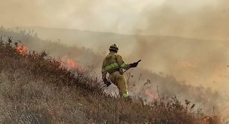 Bombero forestal en un incendio.