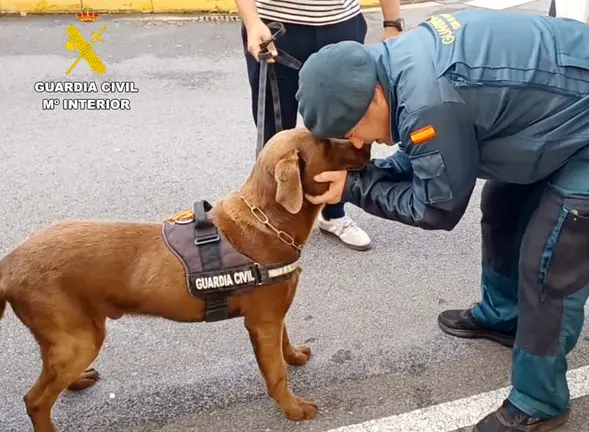 Adopci&oacute;n de Max.