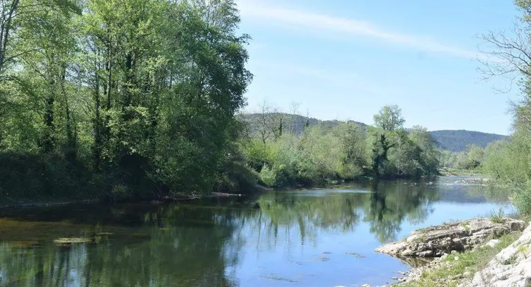 El r&iacute;o Pas a su paso por Pi&eacute;lagos.
